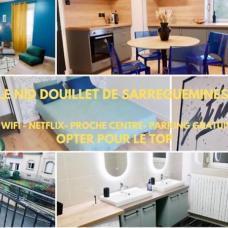 Le Nid Douillet De Sarreguemines Apartment Ngoại thất bức ảnh