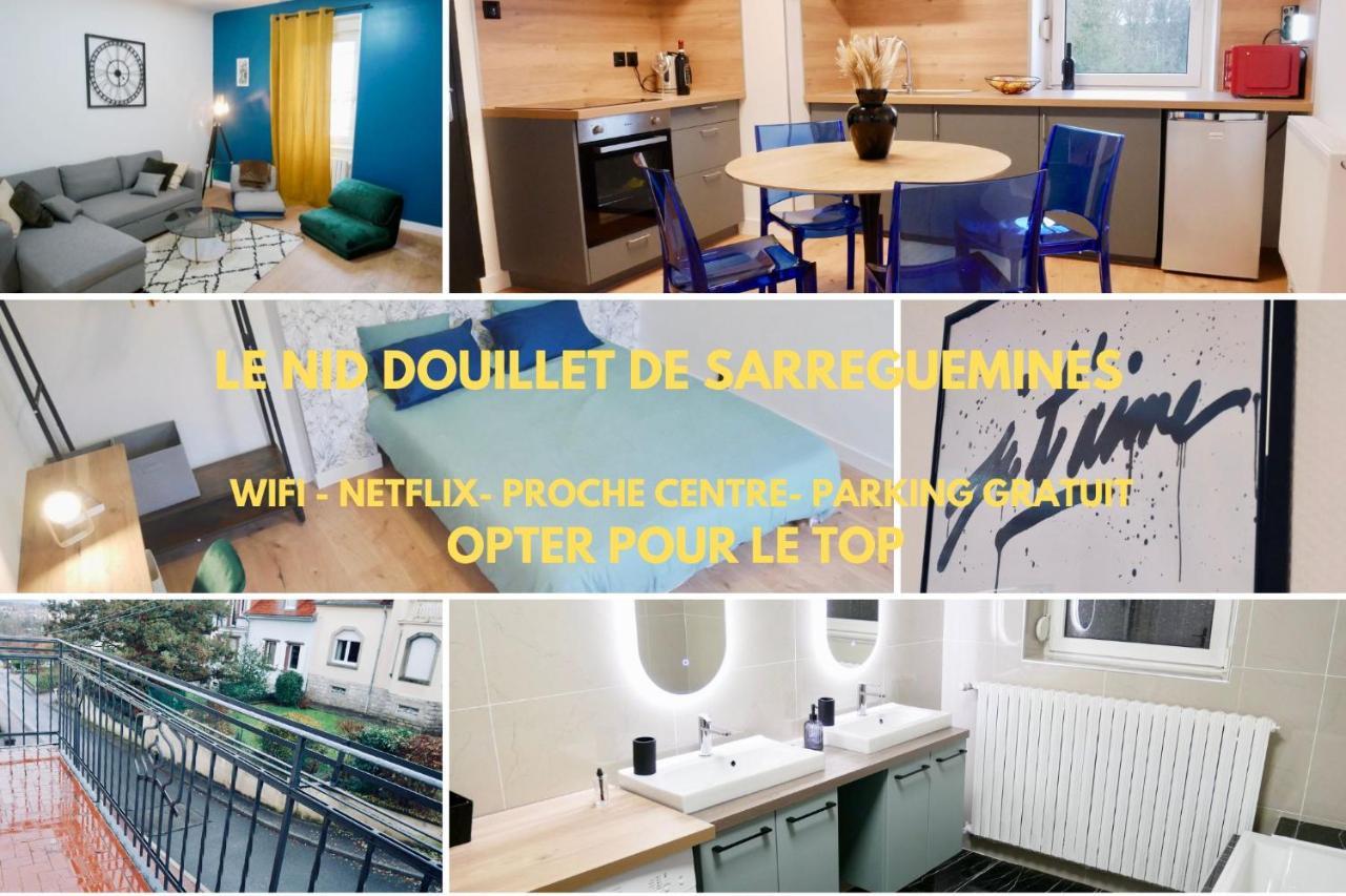 Le Nid Douillet De Sarreguemines Apartment Ngoại thất bức ảnh